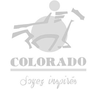 logo - copie